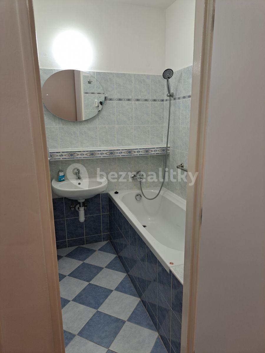 1 bedroom with open-plan kitchen flat to rent, 45 m², Prague, Prague