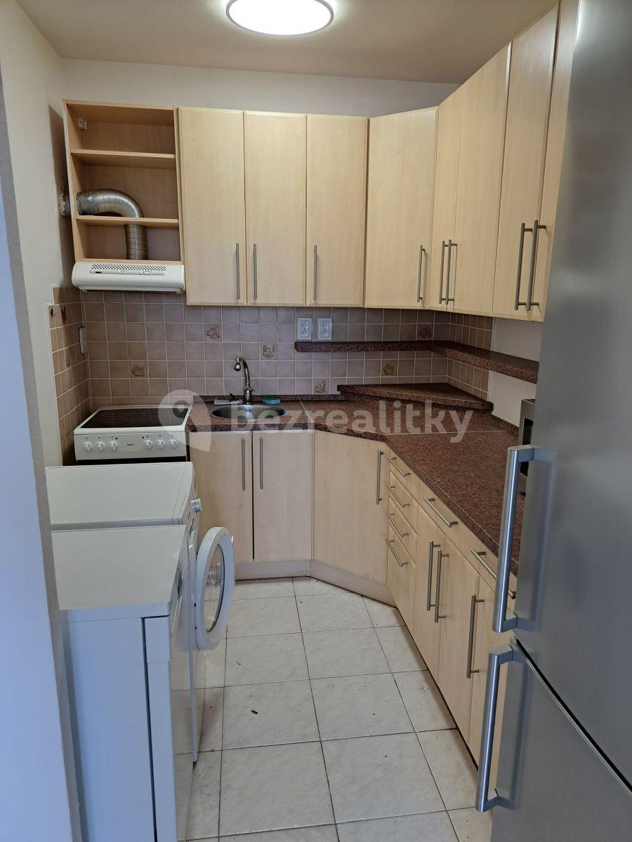 1 bedroom with open-plan kitchen flat to rent, 45 m², Prague, Prague