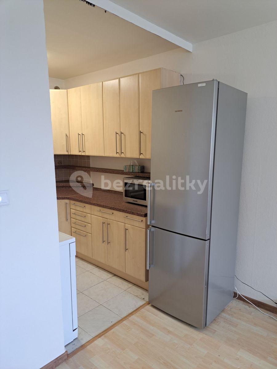 1 bedroom with open-plan kitchen flat to rent, 45 m², Prague, Prague