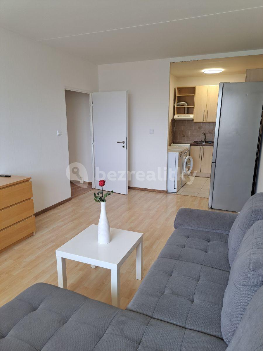 1 bedroom with open-plan kitchen flat to rent, 45 m², Prague, Prague