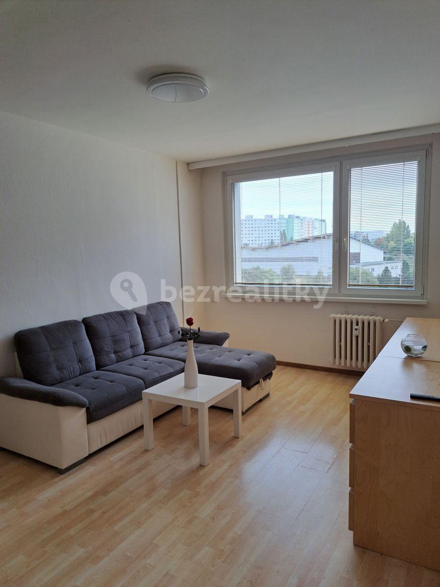 1 bedroom with open-plan kitchen flat to rent, 45 m², Prague, Prague