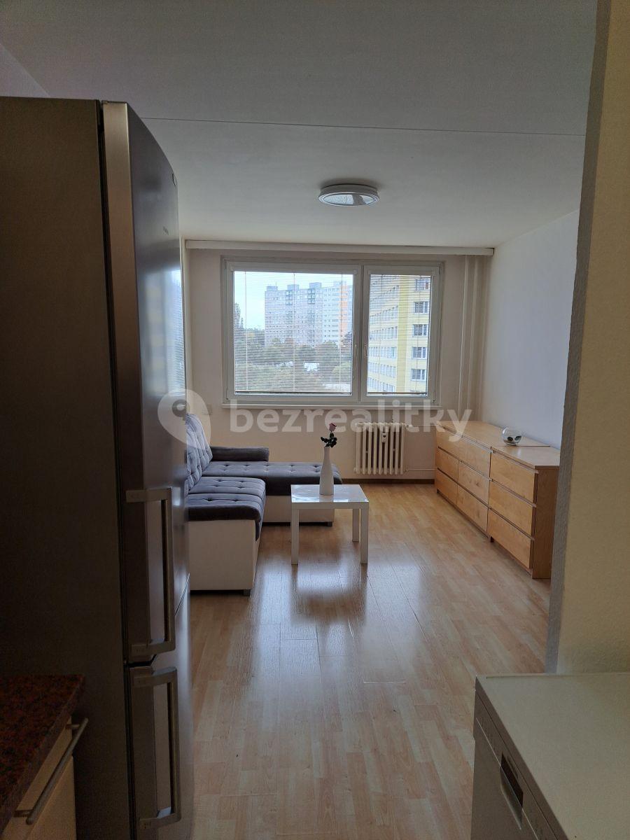 1 bedroom with open-plan kitchen flat to rent, 45 m², Prague, Prague