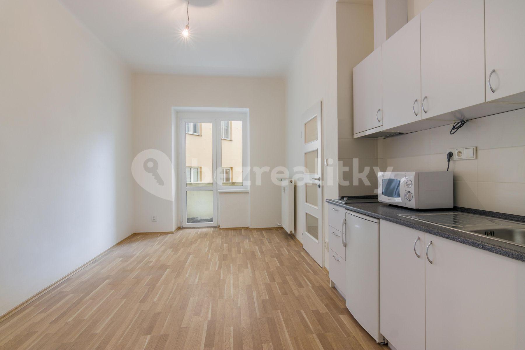 1 bedroom with open-plan kitchen flat to rent, 45 m², U Pernštejnských, Prague, Prague