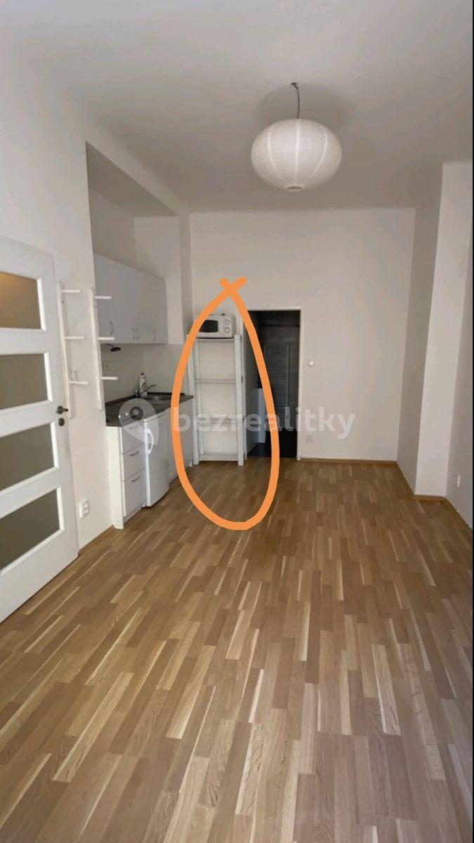 1 bedroom with open-plan kitchen flat to rent, 45 m², U Pernštejnských, Prague, Prague