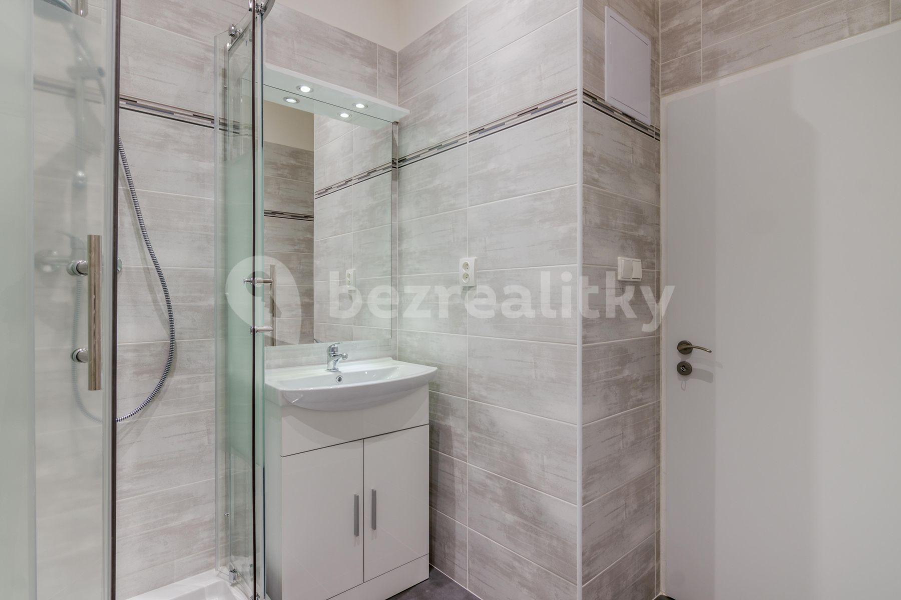 1 bedroom with open-plan kitchen flat to rent, 45 m², U Pernštejnských, Prague, Prague