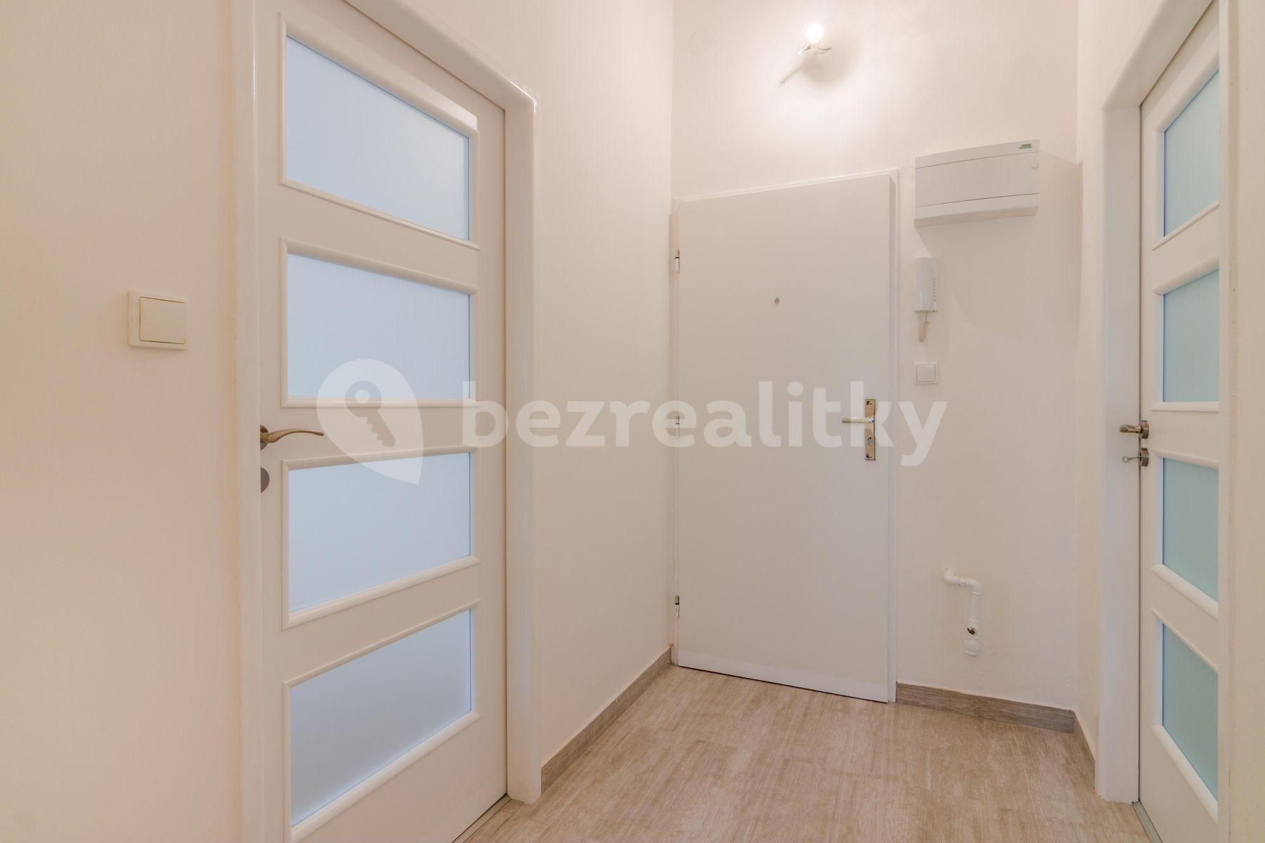 1 bedroom with open-plan kitchen flat to rent, 45 m², U Pernštejnských, Prague, Prague