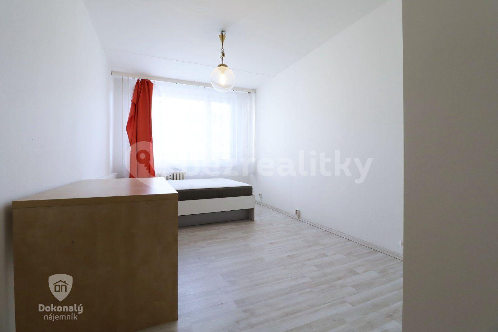 3 bedroom with open-plan kitchen flat to rent, 100 m², Františkova, Prague, Prague