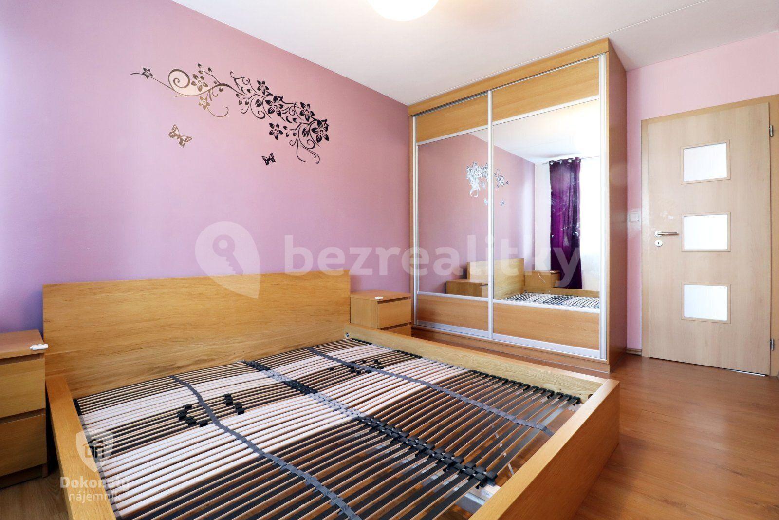 3 bedroom with open-plan kitchen flat to rent, 100 m², Františkova, Prague, Prague