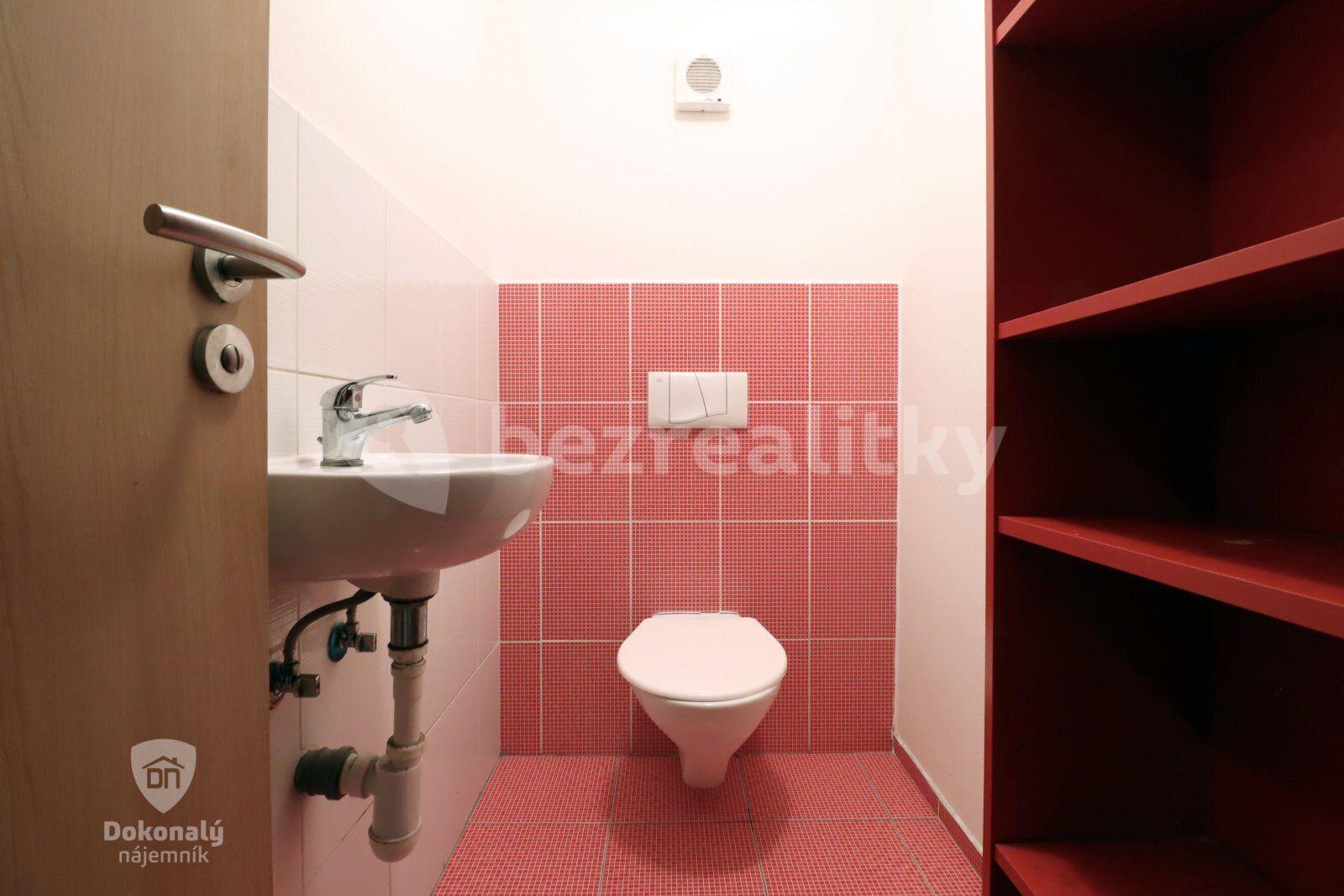 3 bedroom with open-plan kitchen flat to rent, 100 m², Františkova, Prague, Prague