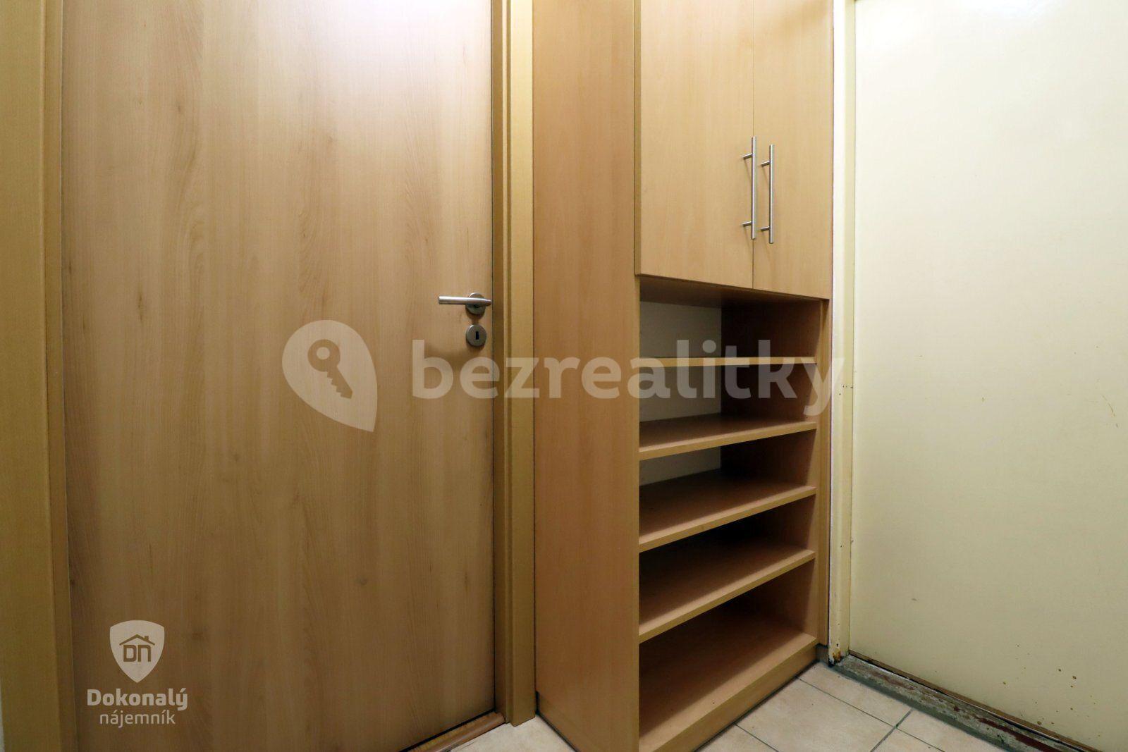 3 bedroom with open-plan kitchen flat to rent, 100 m², Františkova, Prague, Prague