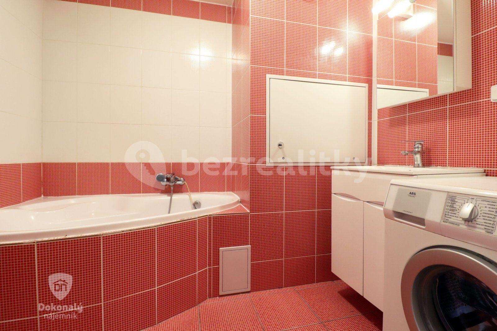 3 bedroom with open-plan kitchen flat to rent, 100 m², Františkova, Prague, Prague