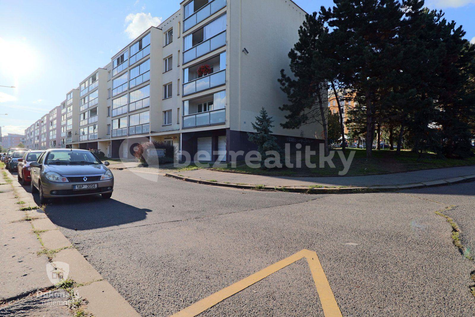 3 bedroom with open-plan kitchen flat to rent, 100 m², Františkova, Prague, Prague