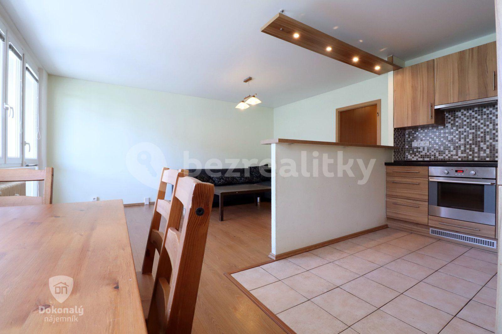 3 bedroom with open-plan kitchen flat to rent, 100 m², Františkova, Prague, Prague