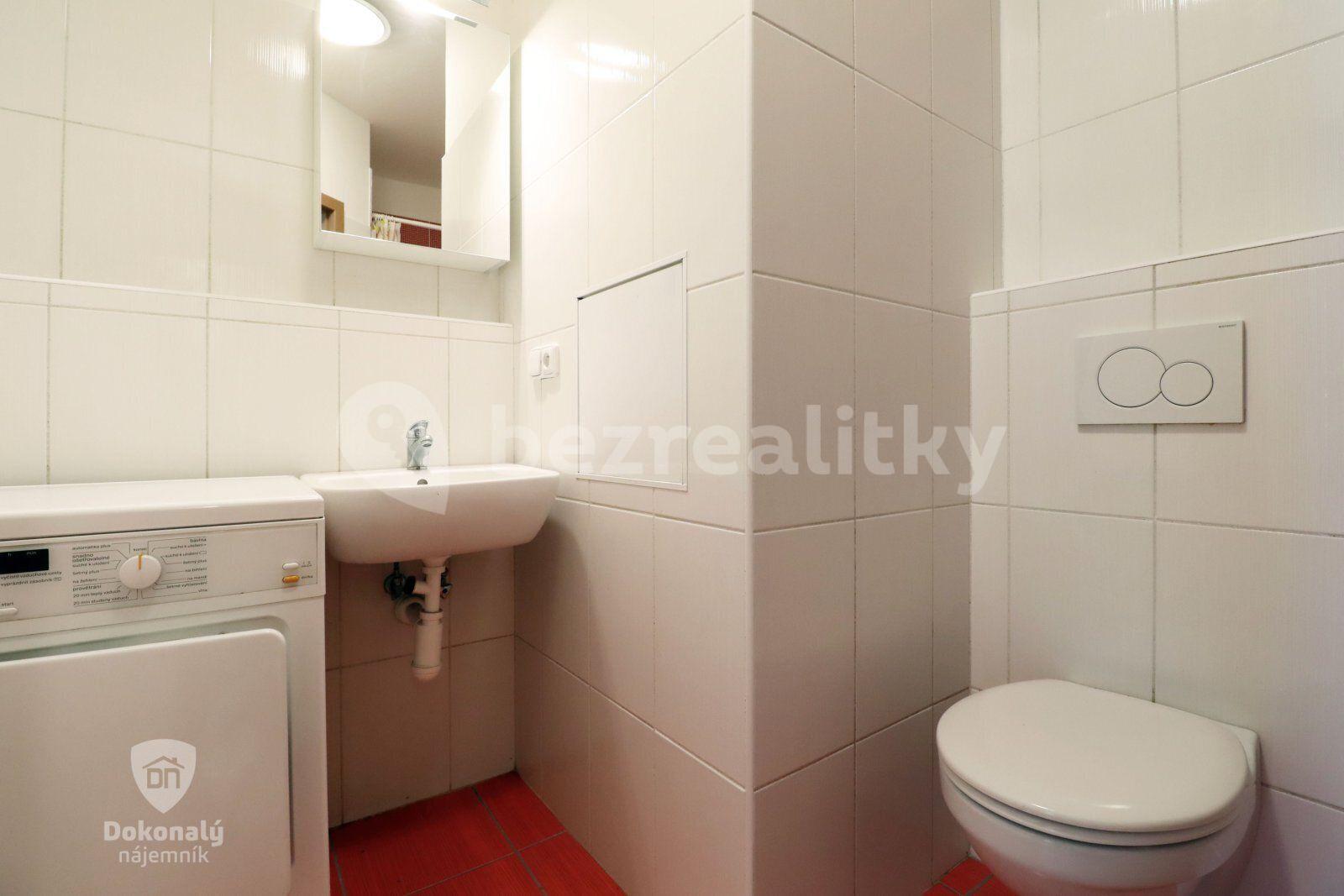 3 bedroom with open-plan kitchen flat to rent, 100 m², Františkova, Prague, Prague