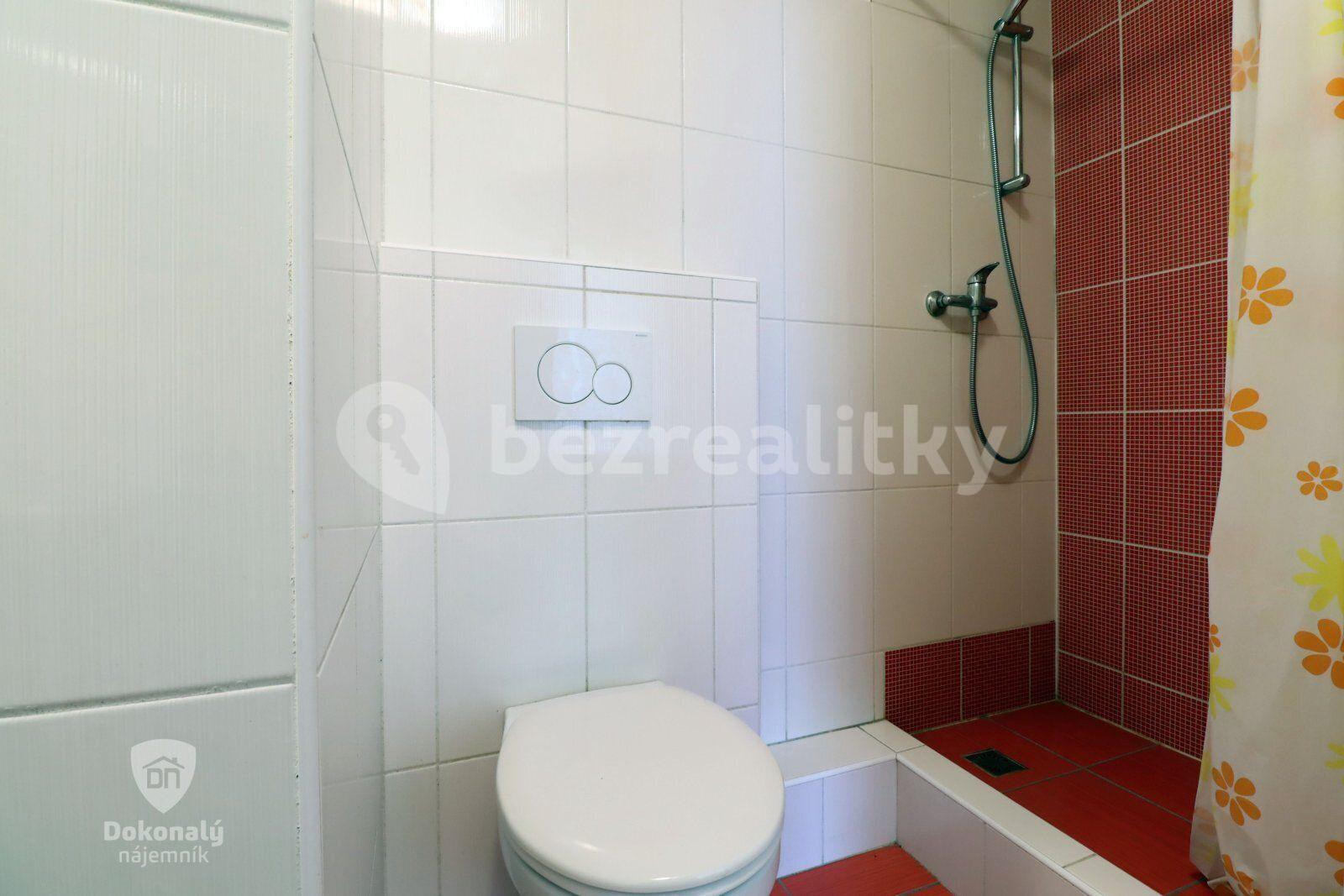 3 bedroom with open-plan kitchen flat to rent, 100 m², Františkova, Prague, Prague