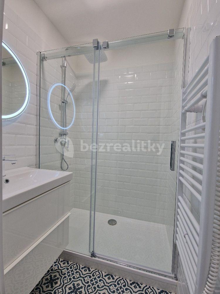 1 bedroom flat to rent, 47 m², Litevská, Prague, Prague