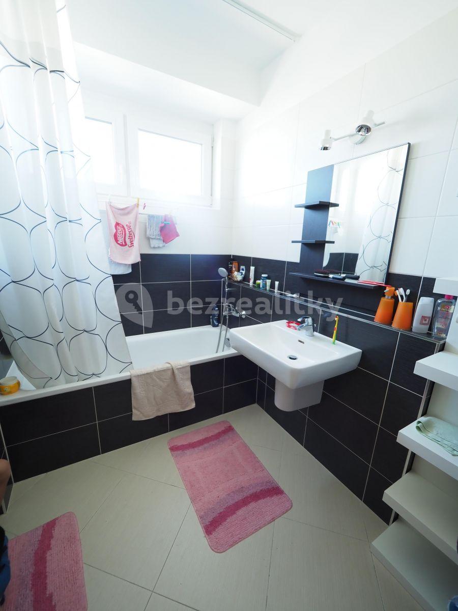 1 bedroom with open-plan kitchen flat to rent, 60 m², Honzíkova, Prague, Prague