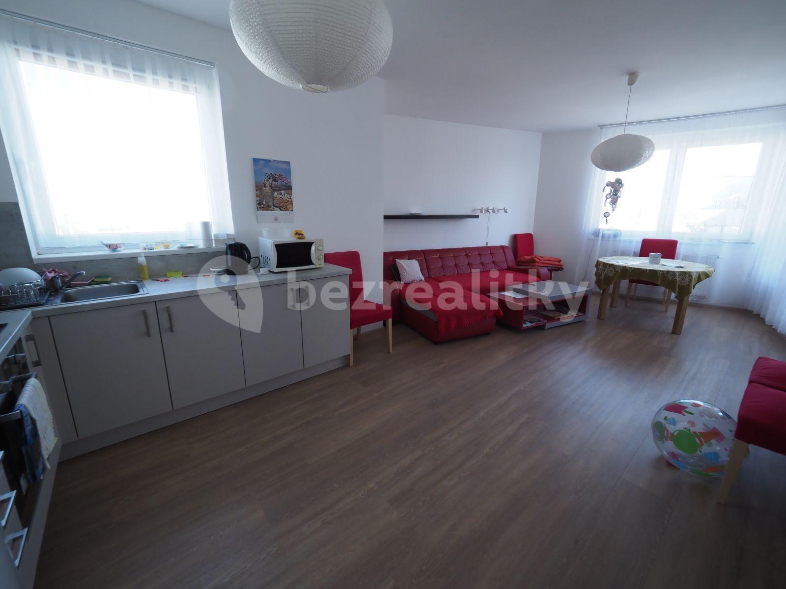 1 bedroom with open-plan kitchen flat to rent, 60 m², Honzíkova, Prague, Prague