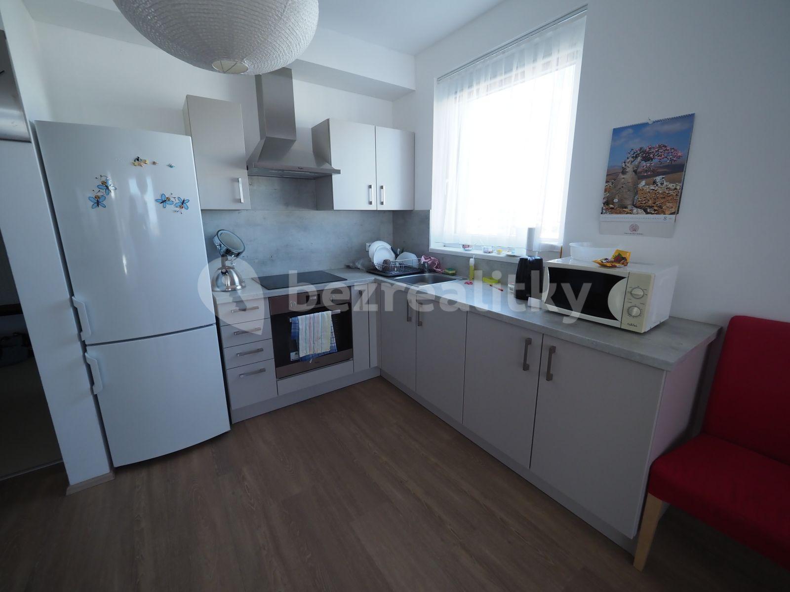 1 bedroom with open-plan kitchen flat to rent, 60 m², Honzíkova, Prague, Prague