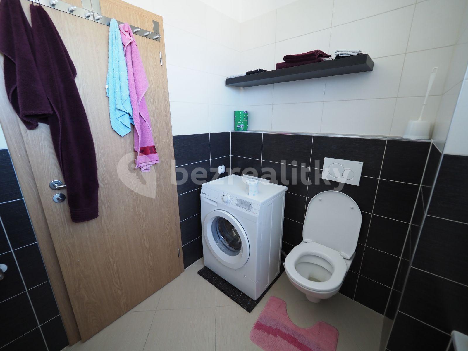 1 bedroom with open-plan kitchen flat to rent, 60 m², Honzíkova, Prague, Prague