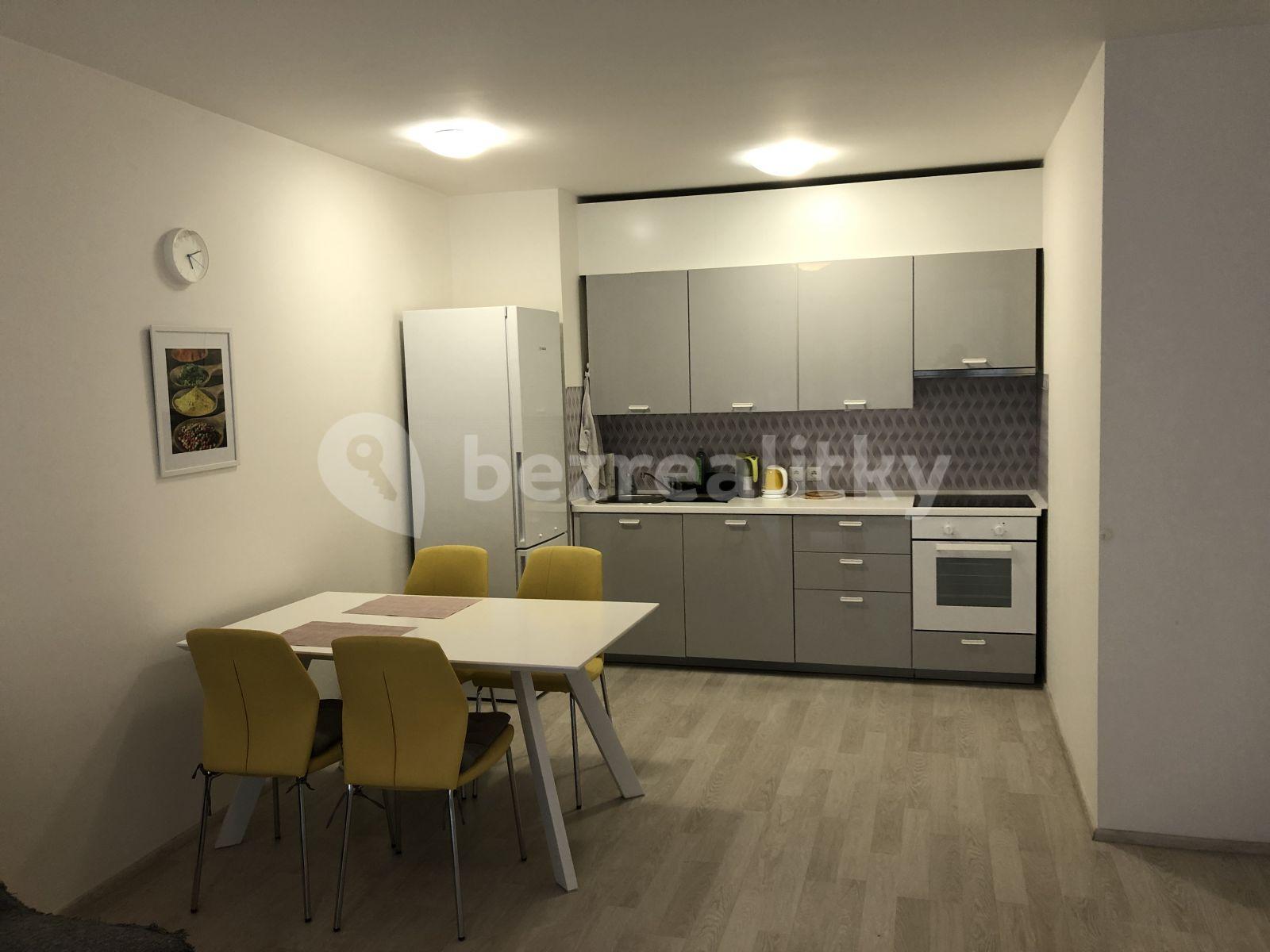 1 bedroom with open-plan kitchen flat to rent, 55 m², U Mlýnského kanálu, Prague, Prague