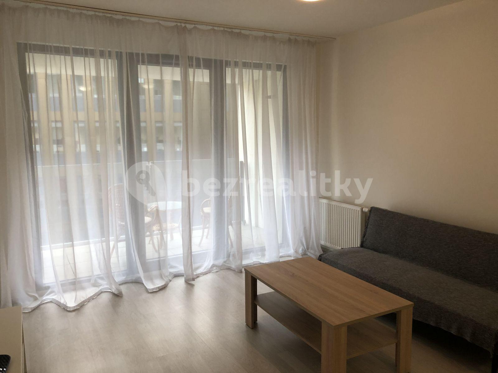 1 bedroom with open-plan kitchen flat to rent, 55 m², U Mlýnského kanálu, Prague, Prague