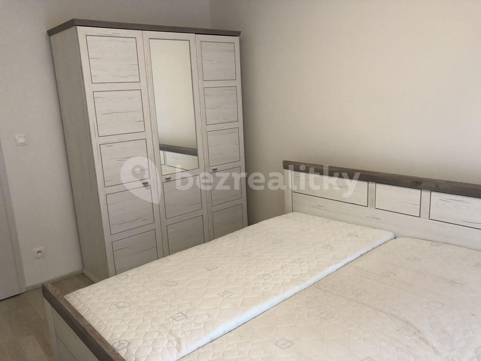 1 bedroom with open-plan kitchen flat to rent, 55 m², U Mlýnského kanálu, Prague, Prague