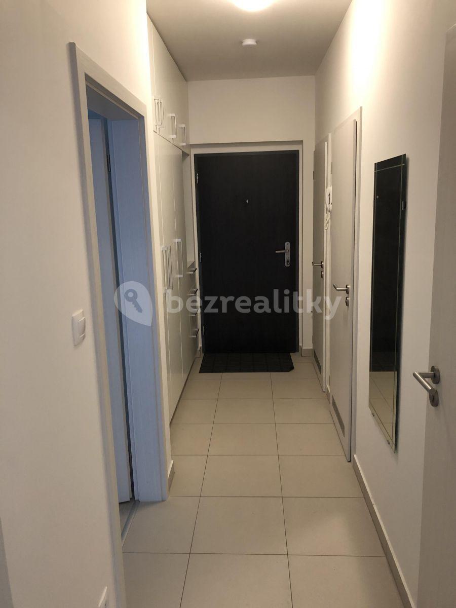 1 bedroom with open-plan kitchen flat to rent, 55 m², U Mlýnského kanálu, Prague, Prague