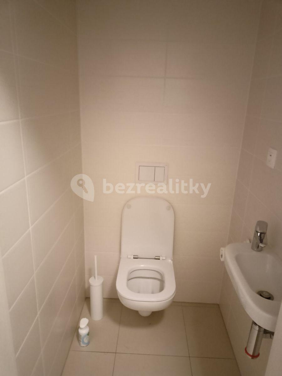 1 bedroom with open-plan kitchen flat to rent, 55 m², U Mlýnského kanálu, Prague, Prague