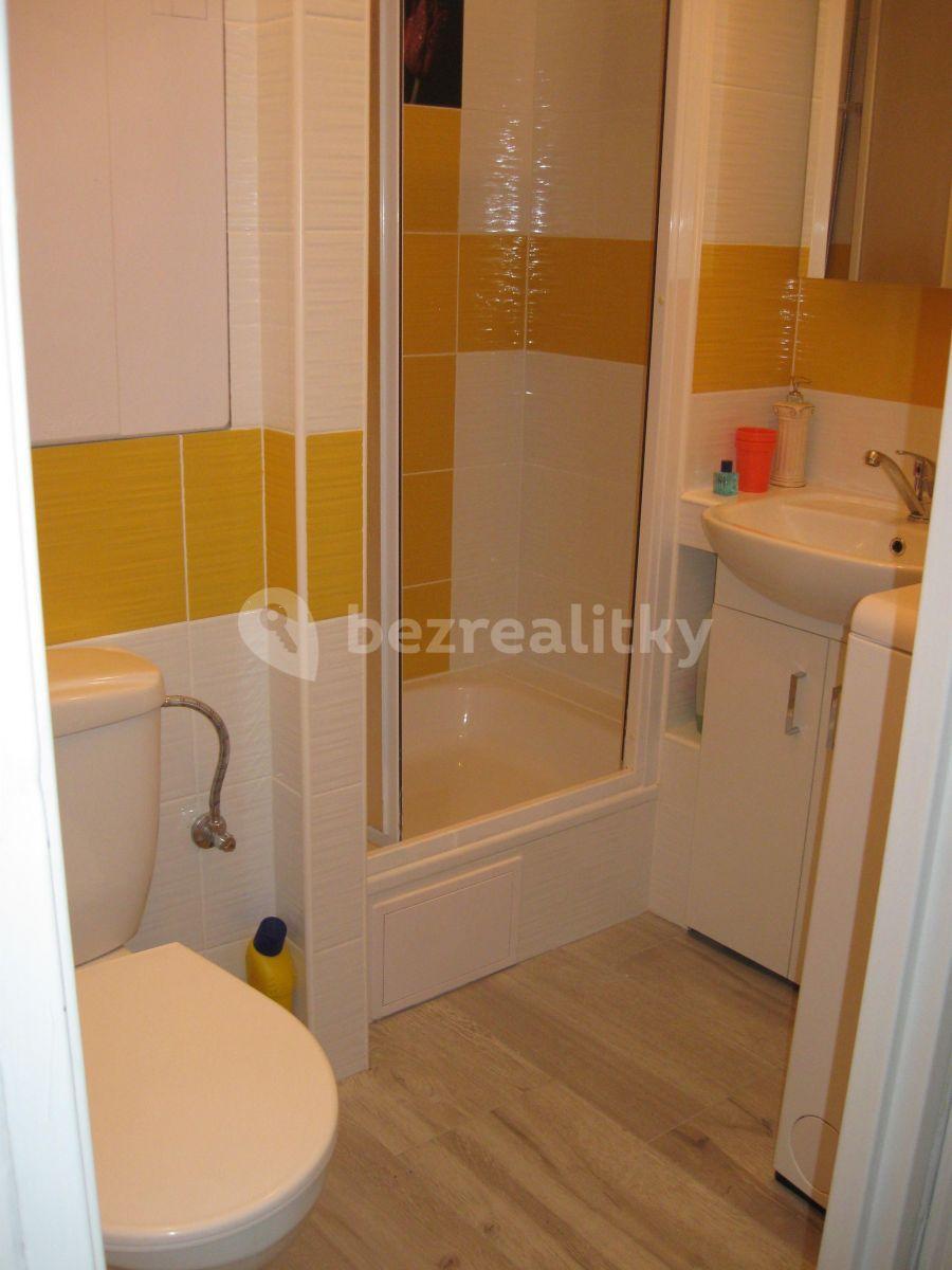 Small studio flat to rent, 30 m², Jabloňová, Prague, Prague