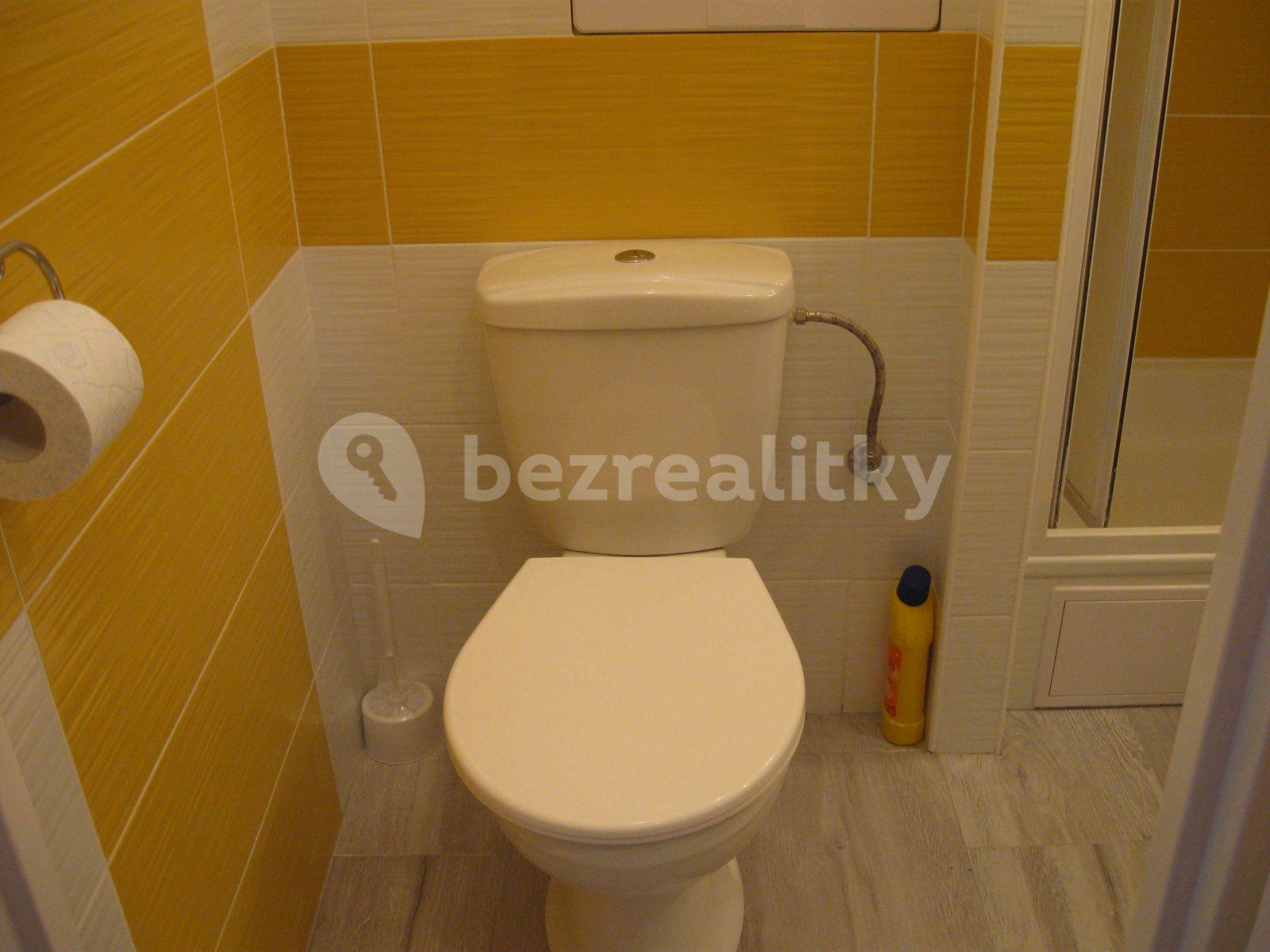 Small studio flat to rent, 30 m², Jabloňová, Prague, Prague