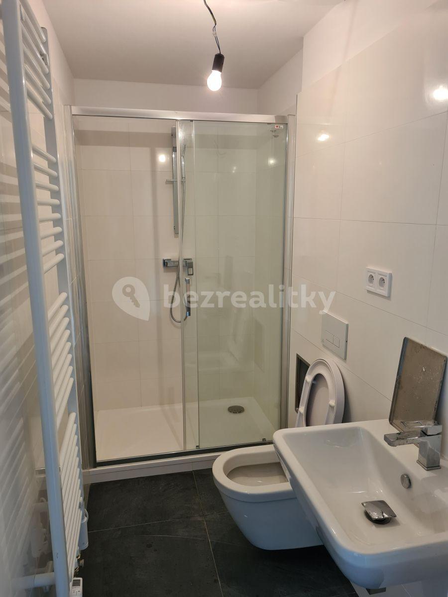 1 bedroom with open-plan kitchen flat to rent, 47 m², Žižkova, Horoměřice, Středočeský Region