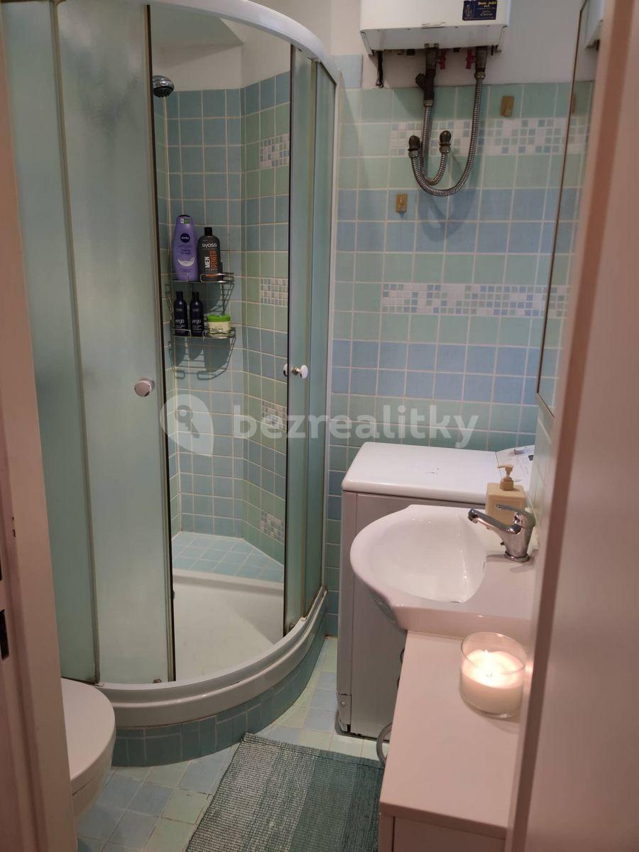 1 bedroom flat to rent, 30 m², Zúžená, Prague, Prague