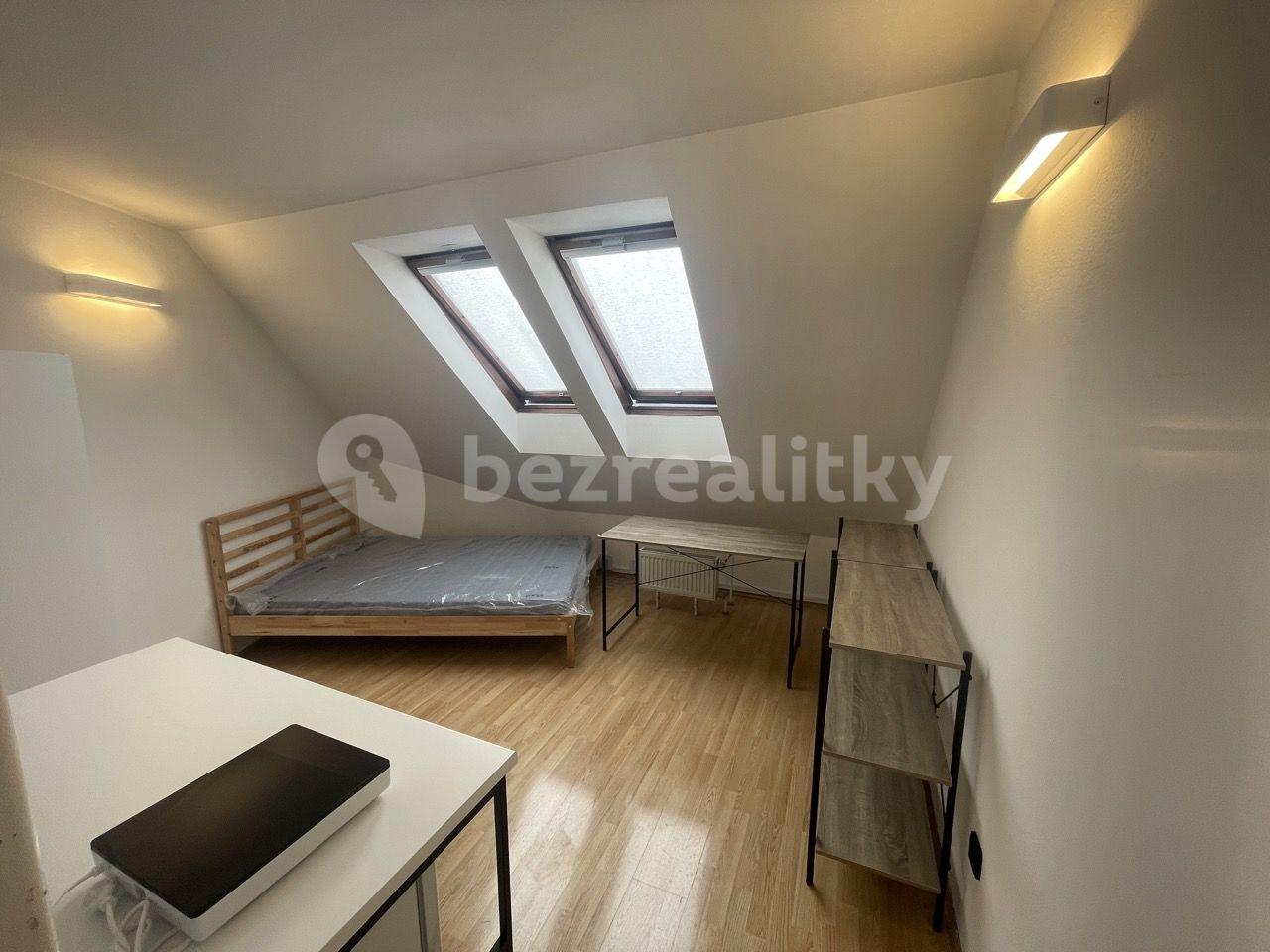 Small studio flat to rent, 21 m², Šaldova, Prague, Prague