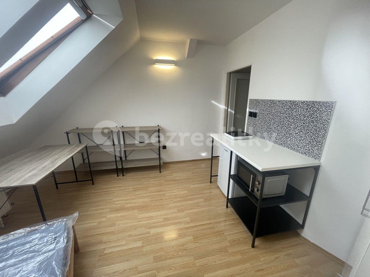 Small studio flat to rent, 21 m², Šaldova, Prague, Prague