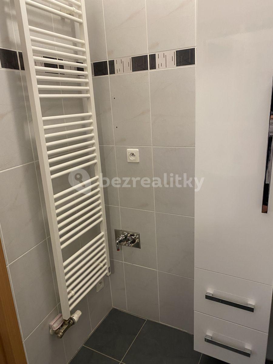 2 bedroom with open-plan kitchen flat to rent, 76 m², V Osikách, Prague, Prague