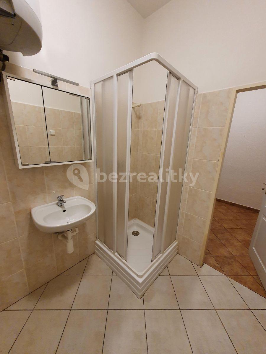 Small studio flat to rent, 24 m², Záběhlická, Prague, Prague