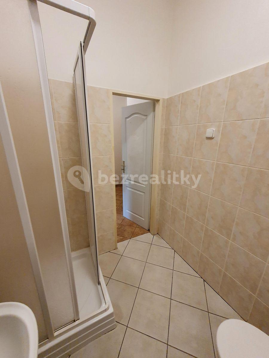 Small studio flat to rent, 24 m², Záběhlická, Prague, Prague