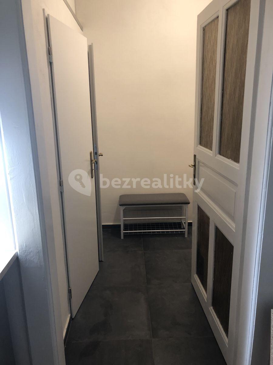 1 bedroom with open-plan kitchen flat to rent, 45 m², Na Dolinách, Prague, Prague