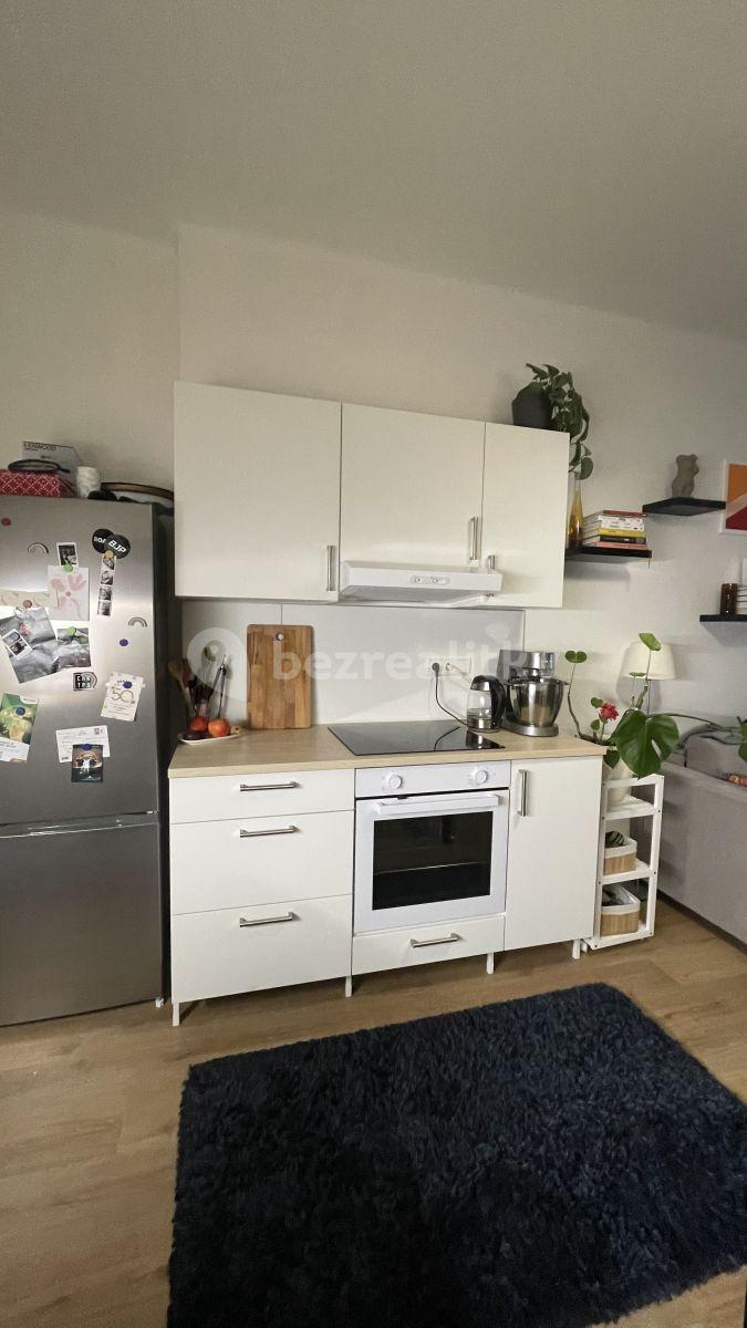 1 bedroom with open-plan kitchen flat to rent, 45 m², Na Dolinách, Prague, Prague