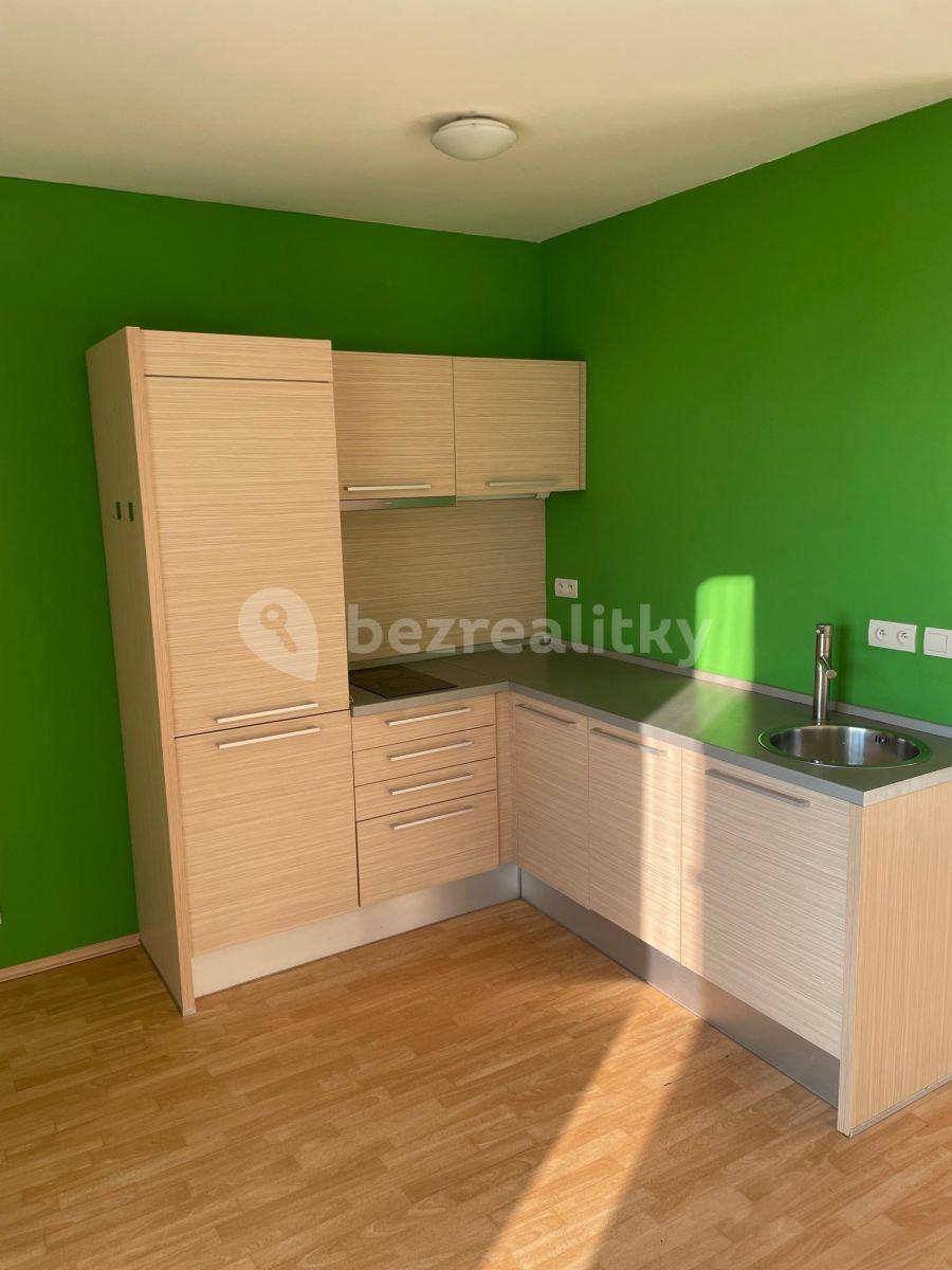 Studio flat to rent, 48 m², Novodvorská, Prague, Prague