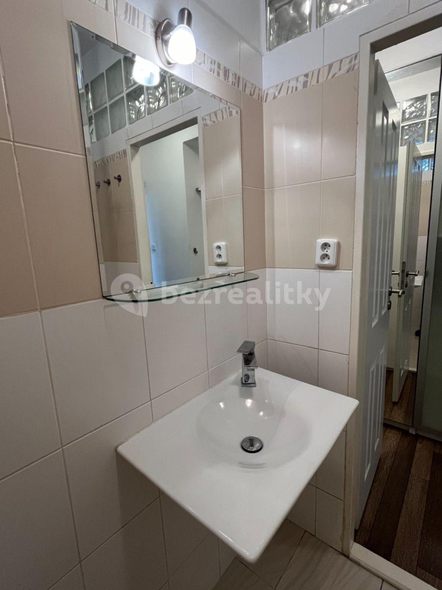 1 bedroom with open-plan kitchen flat to rent, 55 m², Jihlavská, Prague, Prague