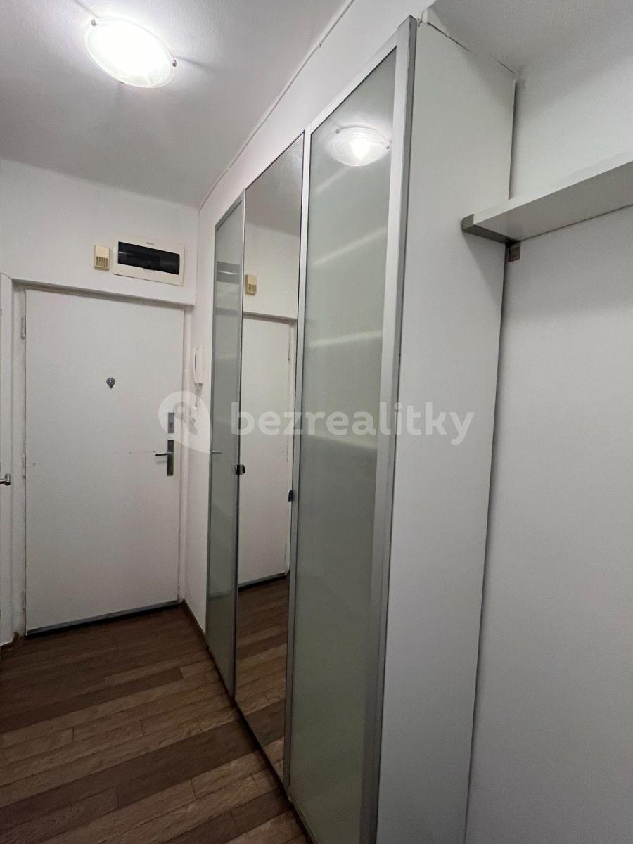 1 bedroom with open-plan kitchen flat to rent, 55 m², Jihlavská, Prague, Prague