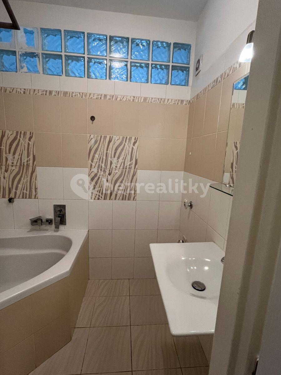 1 bedroom with open-plan kitchen flat to rent, 55 m², Jihlavská, Prague, Prague