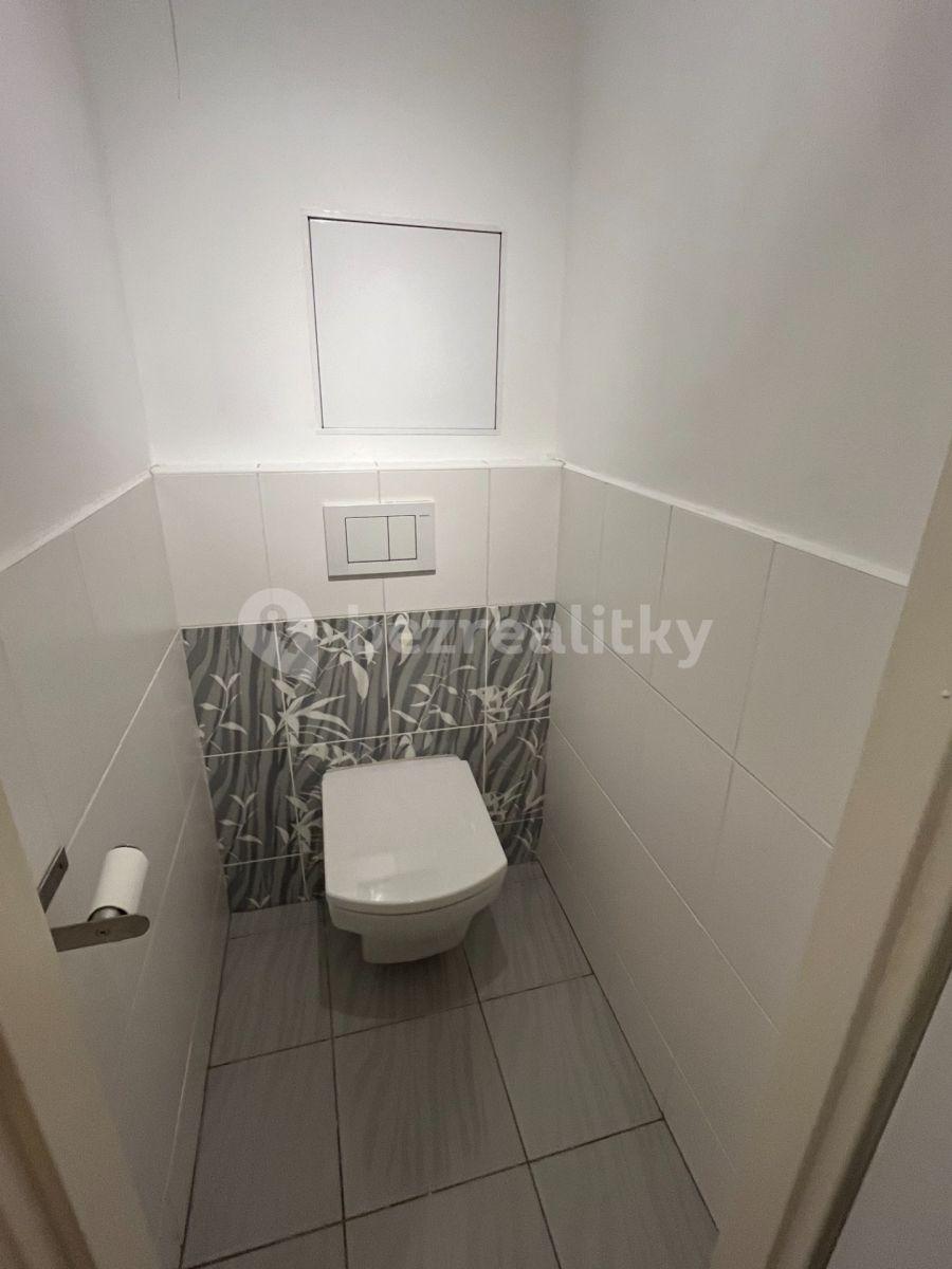 1 bedroom with open-plan kitchen flat to rent, 55 m², Jihlavská, Prague, Prague