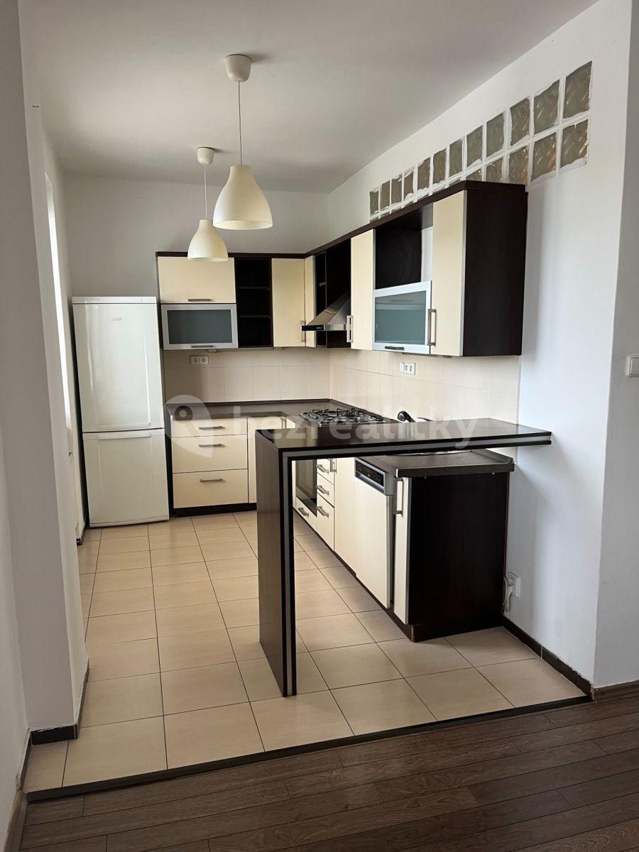 1 bedroom with open-plan kitchen flat to rent, 55 m², Jihlavská, Prague, Prague