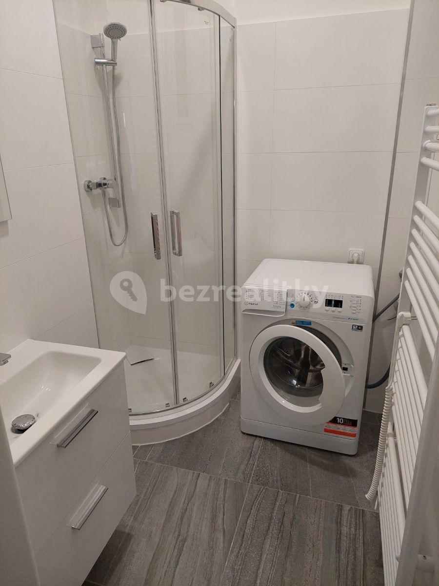 Small studio flat to rent, 30 m², Počátecká, Prague, Prague