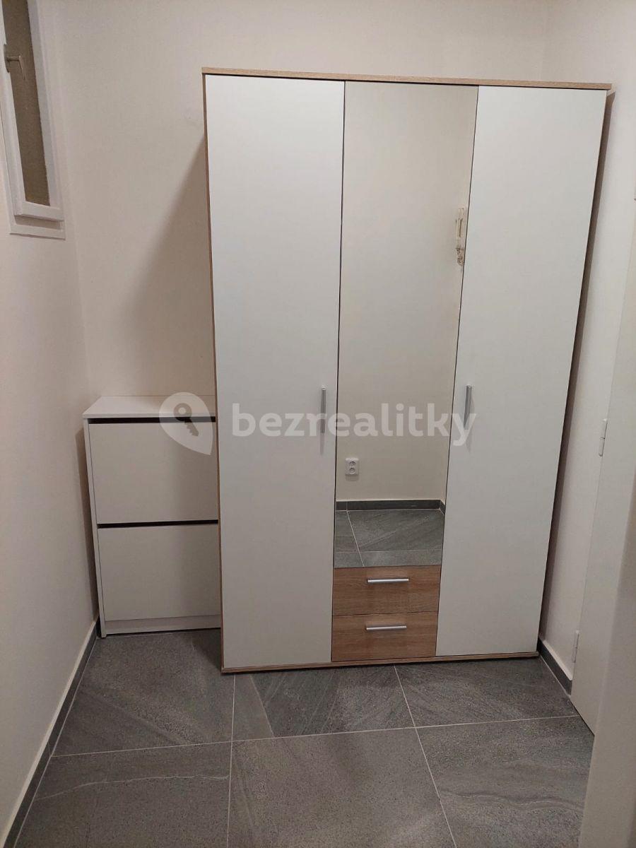 Small studio flat to rent, 30 m², Počátecká, Prague, Prague