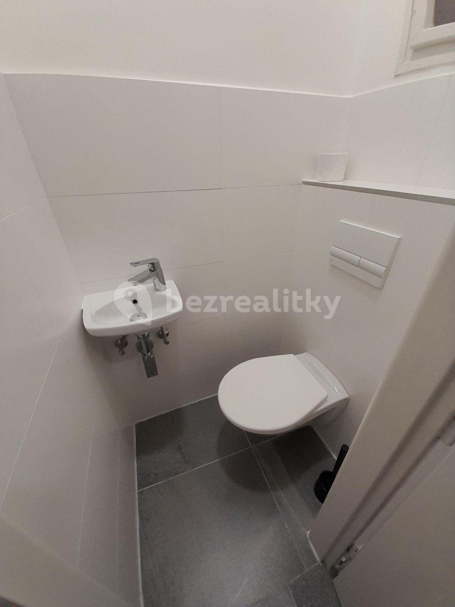 Small studio flat to rent, 30 m², Počátecká, Prague, Prague