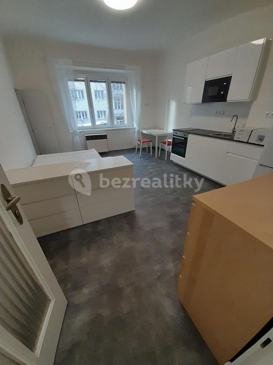 Small studio flat to rent, 30 m², Počátecká, Prague, Prague